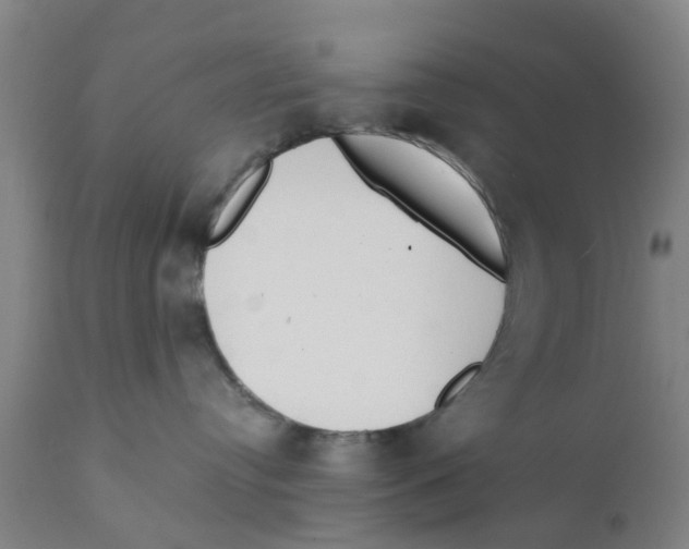 X0000111620384200908141325