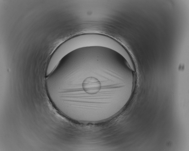 X0000111620385200908141324