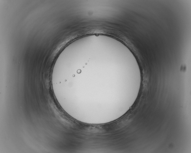 X0000111620386200908141324