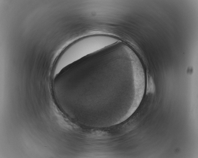 X0000111620387200908141324