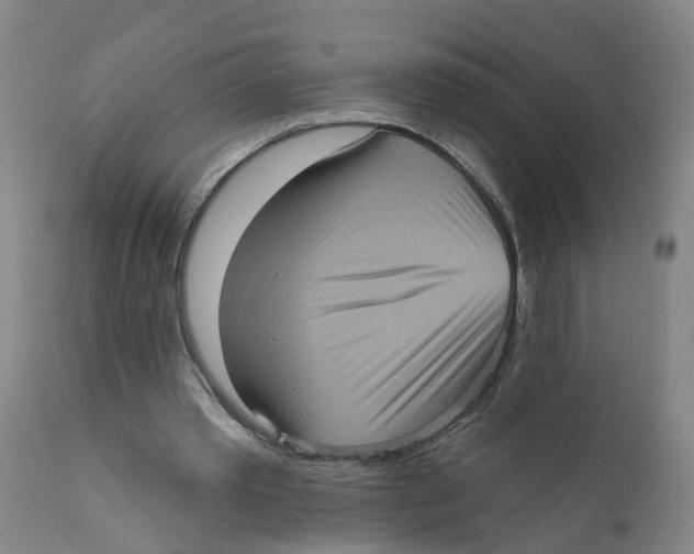 X0000111620389200908141324