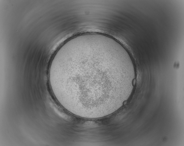 X0000111620390200908141324