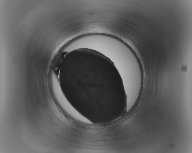 X0000111620391200908141324