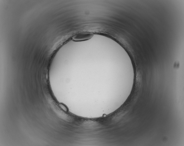 X0000111620397200908141324