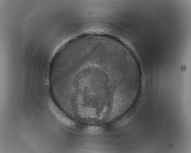 X0000111620399200908141324