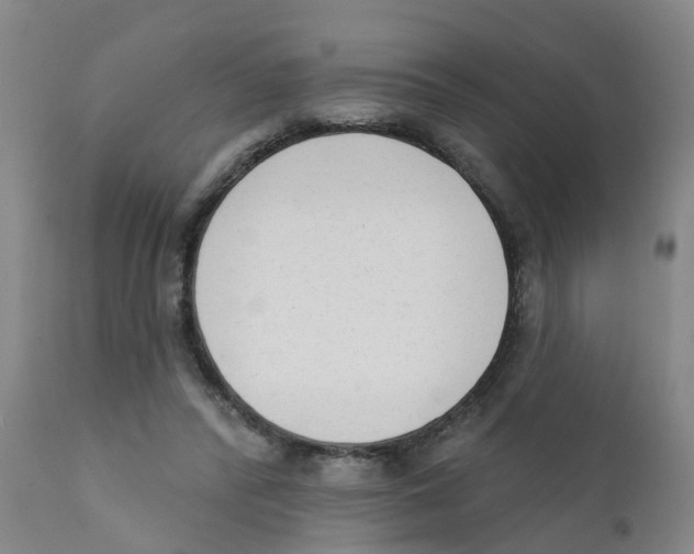 X0000111620400200908141324