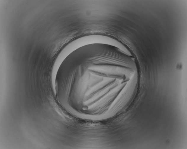 X0000111620401200908141324