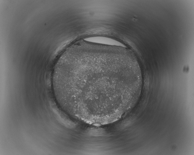 X0000111620403200908141324