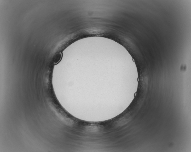 X0000111620404200908141324