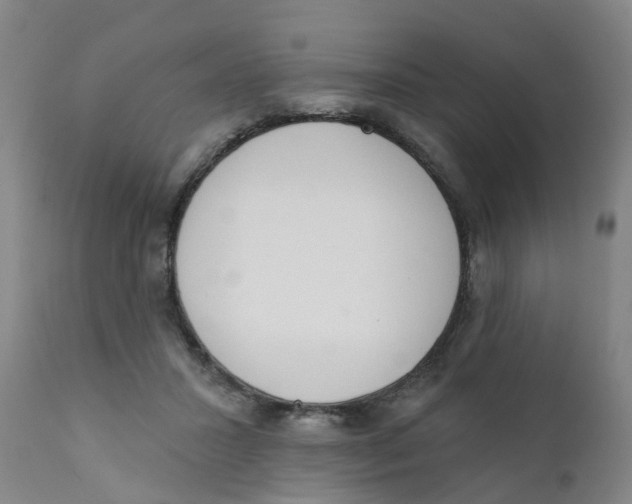 X0000111620407200908141324