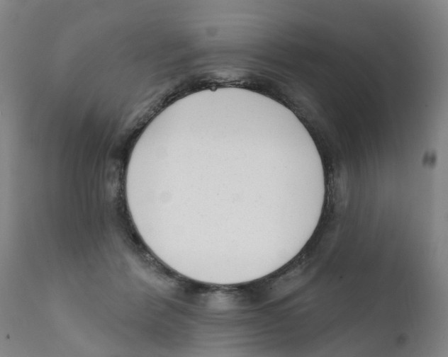 X0000111620412200908141324