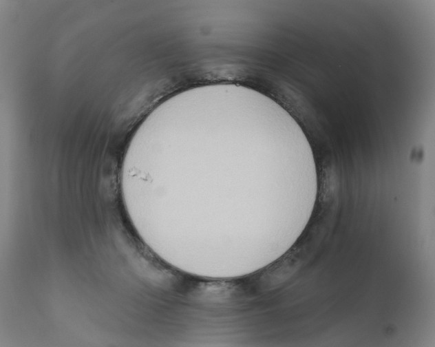 X0000111620414200908141323