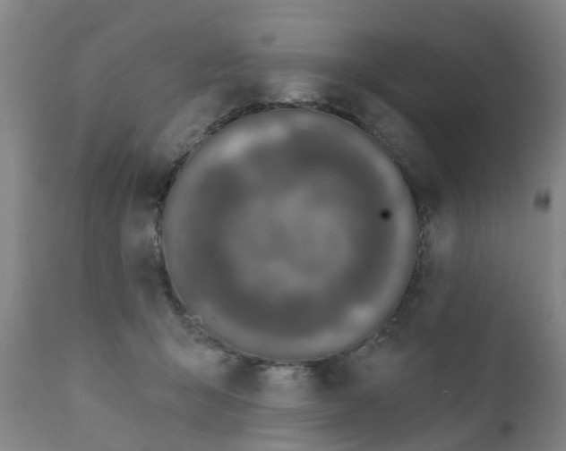 X0000111620415200908141323