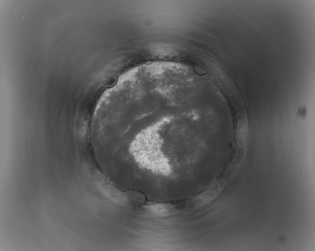 X0000111620417200908141323