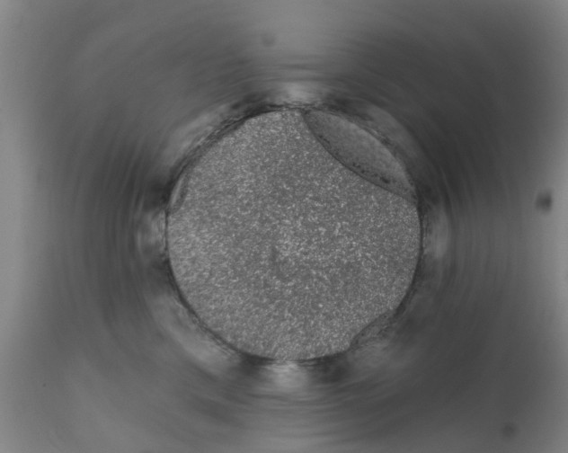 X0000111620425200908141323