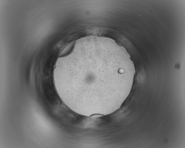 X0000111620429200908141323