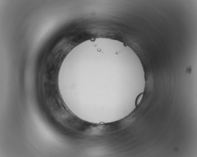 X0000111620430200908141323