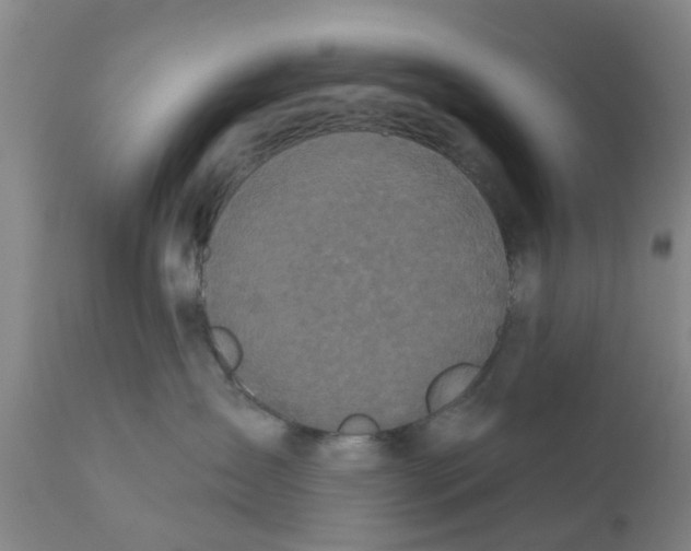 X0000111620431200908141323