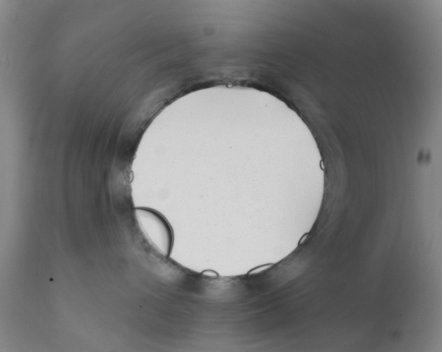 X0000111620432200908141323