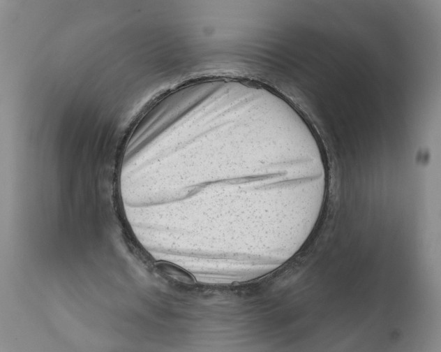 X0000111620434200908141322