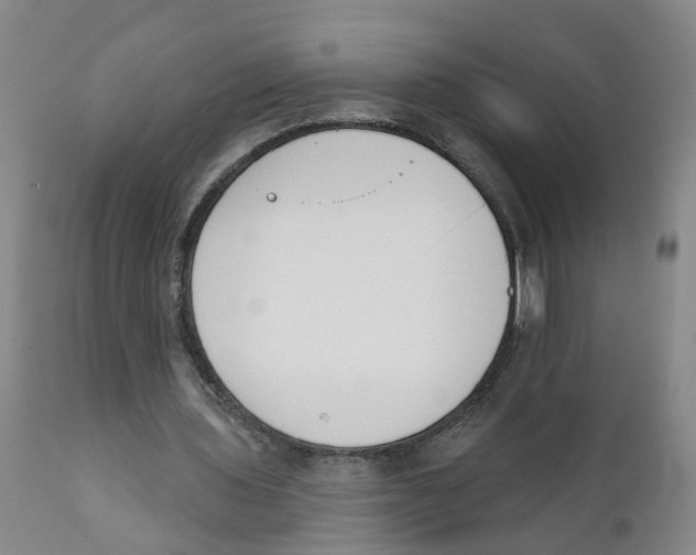 X0000111620435200908141322