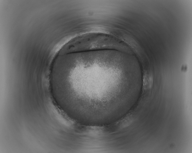 X0000111620436200908141322