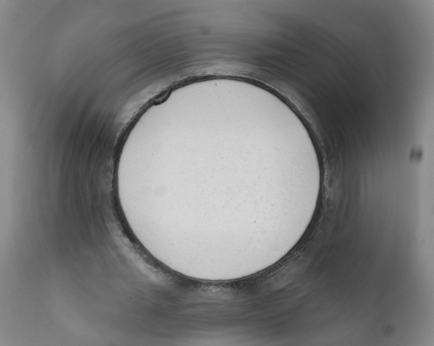 X0000111620437200908141322