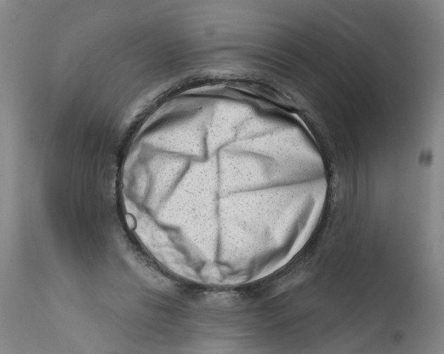 X0000111620446200908141322