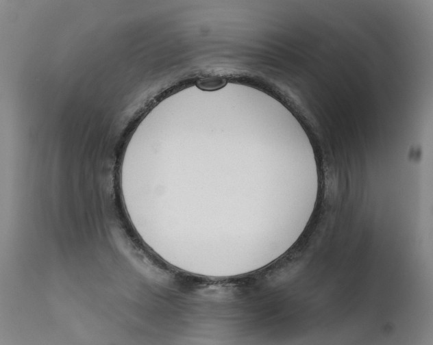 X0000111620447200908141322