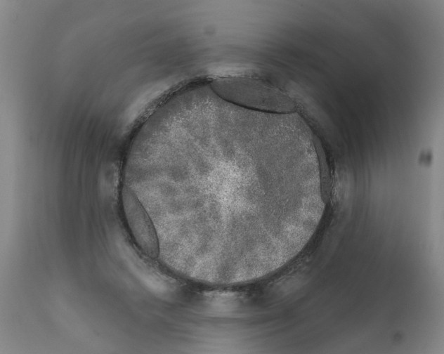 X0000111620448200908141322