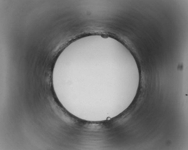 X0000111620449200908141322