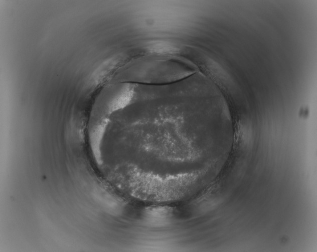 X0000111620452200908141322