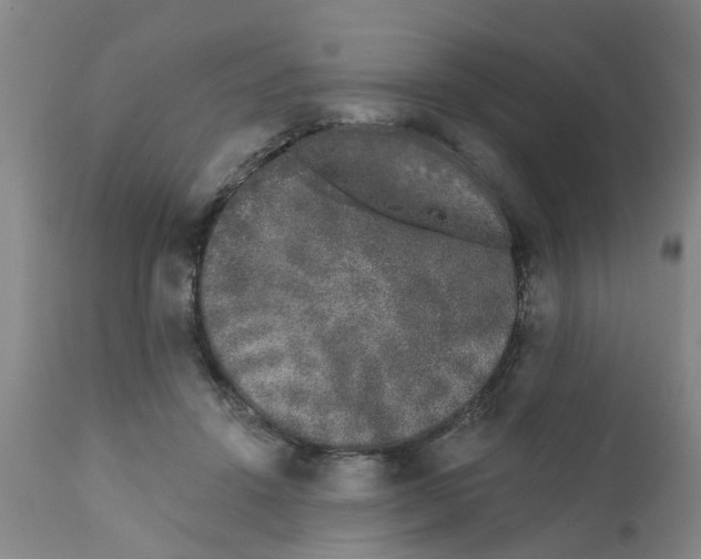 X0000111620456200908141322