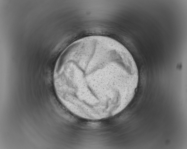 X0000111620457200908141322