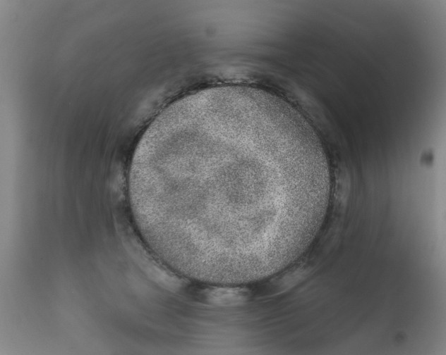 X0000111620465200908141323