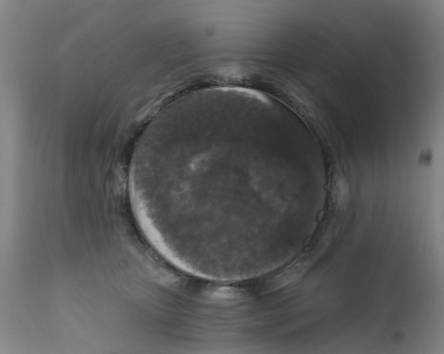 X0000111620467200908141323