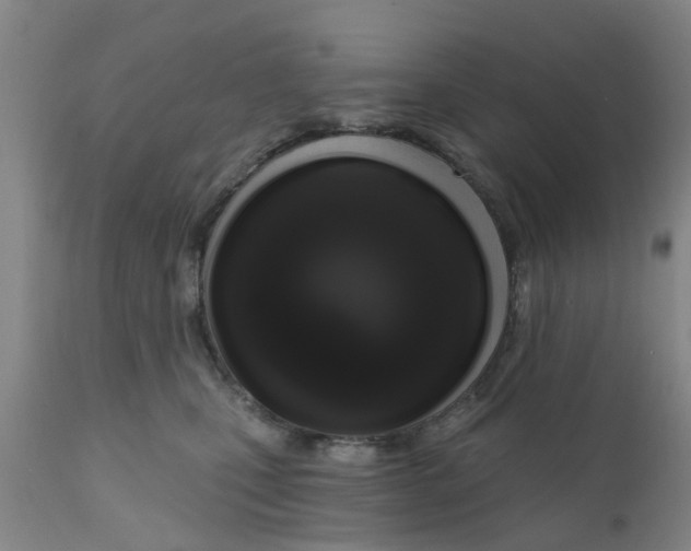 X0000111620471200908141323