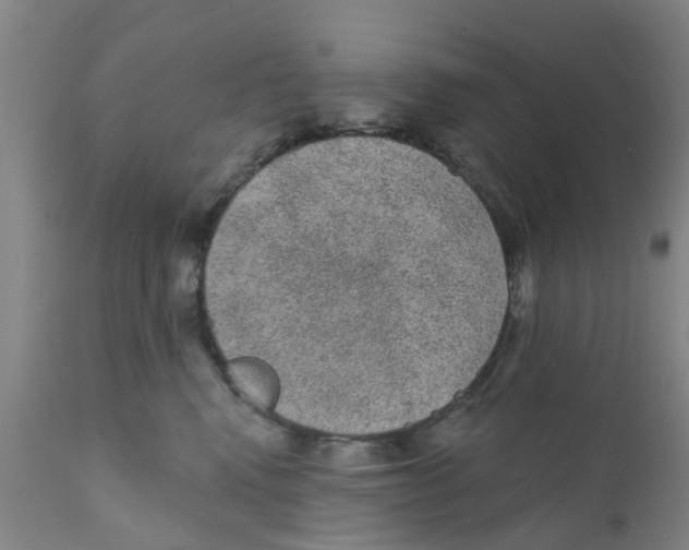 X0000111620472200908141323