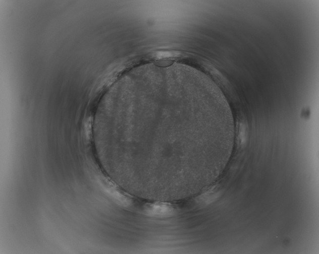 X0000111620475200908141323