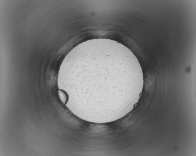 X0000111620476200908141323