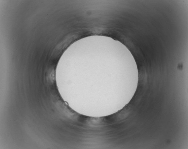 X0000111620479200908141323