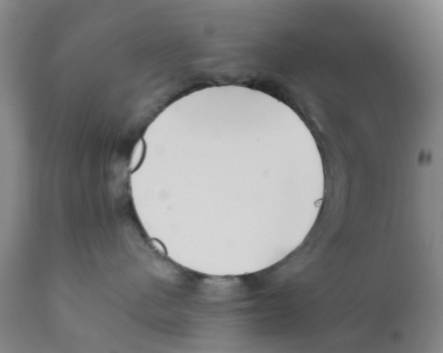 X0000111620480200908141323