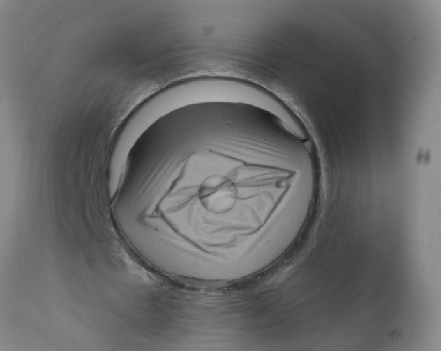 X0000111620481200908141322