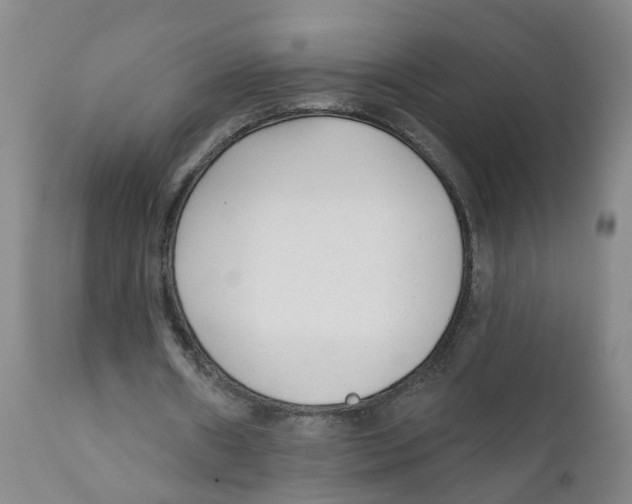 X0000111620482200908141322