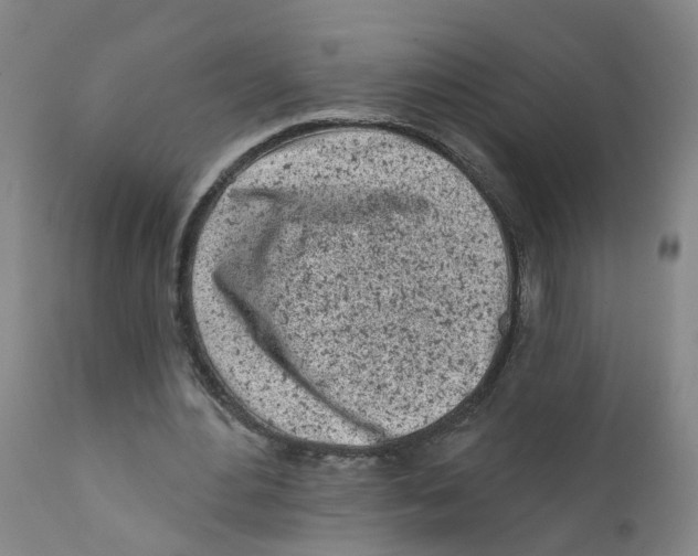 X0000111620484200908141322