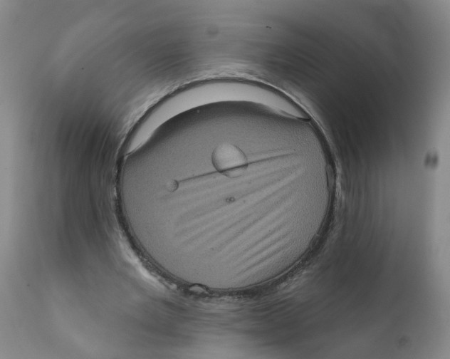 X0000111620485200908141322