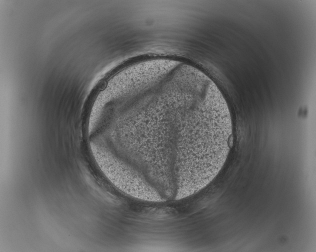 X0000111620488200908141322