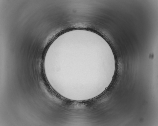 X0000111620491200908141322