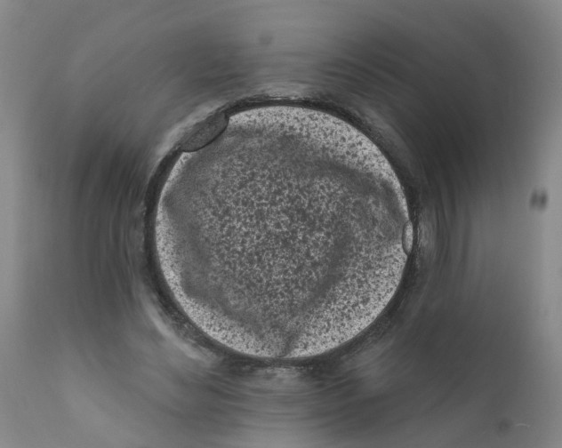 X0000111620492200908141322