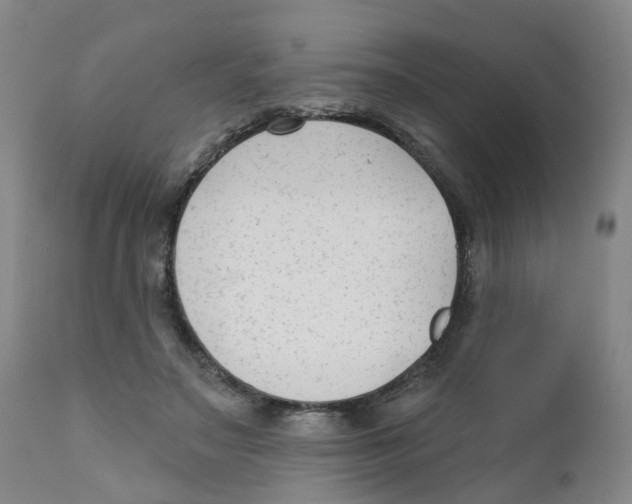 X0000111620499200908141322